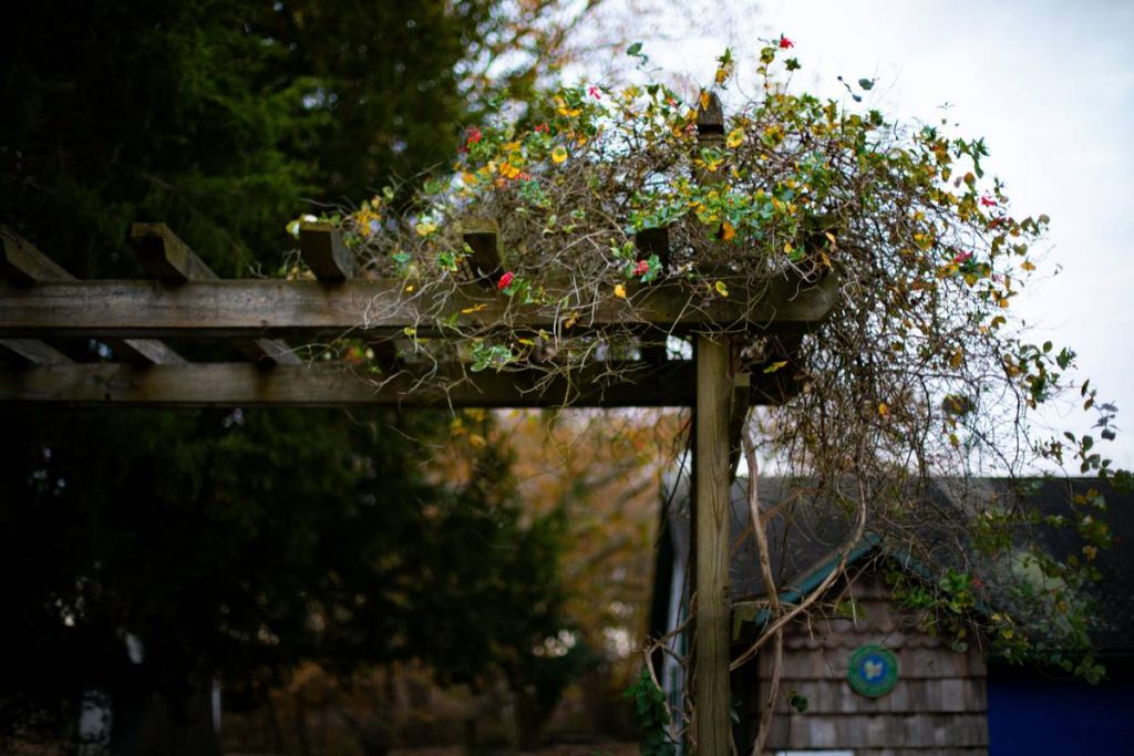 Pergola Style Design Ideas: 7 Proven Tips to Avoid Costly Mistakes
