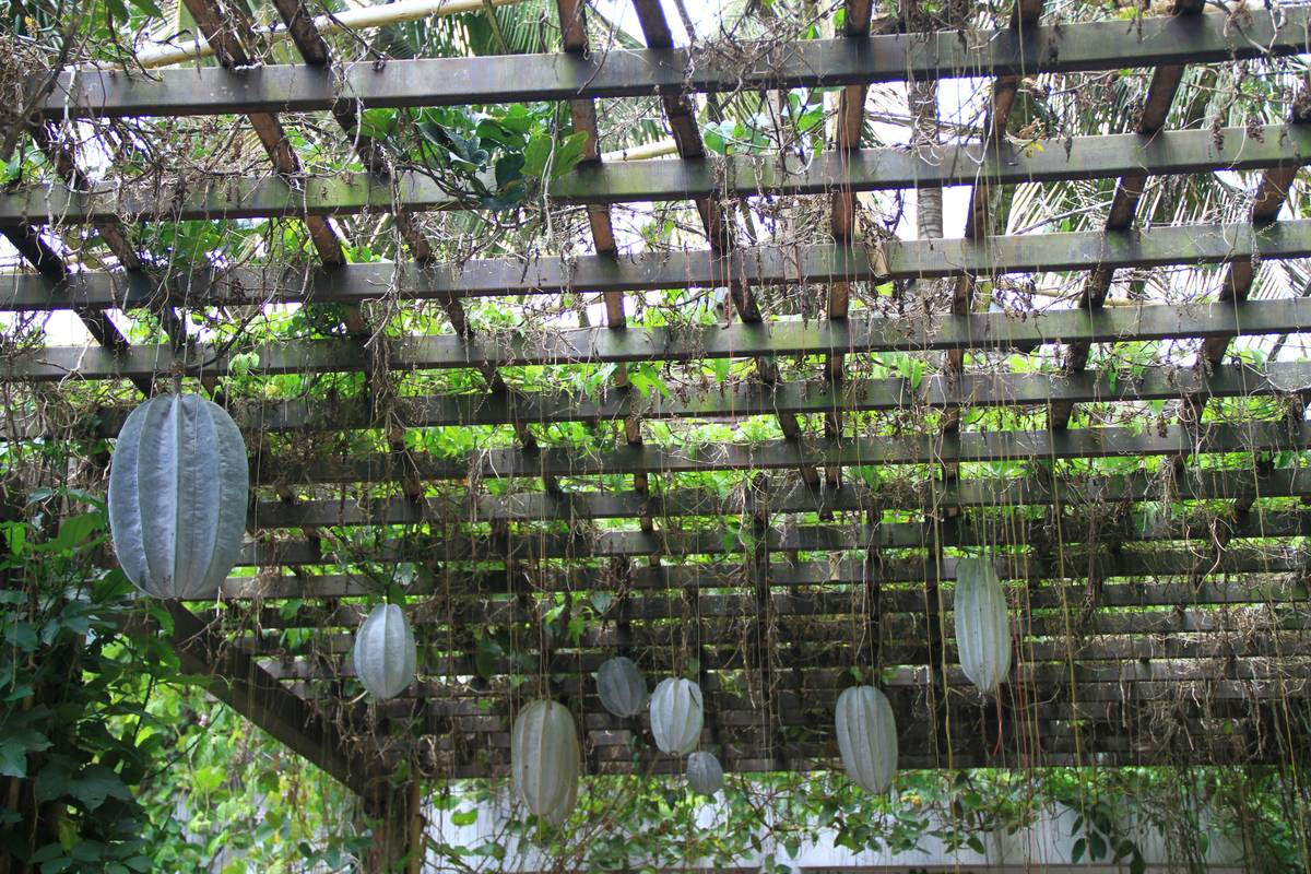 easy pergolas to build with cedar posts and integrated dining set under partial shade