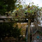 Easy Pergola for Beginners: 7 Proven Tips to Avoid Costly Mistakes